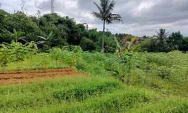 Lahan Kebun 1,6 Milyar di Bojong Murni Bogor