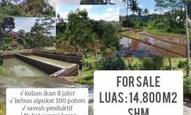 Lahan Kebun Produktif Strategis, Kolam Ikan, Subang