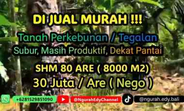 Lahan Kebun SHM 80 are dekat Pantai di Tabanan Bali