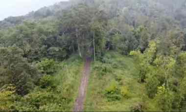 Tanah Dijual di Subang