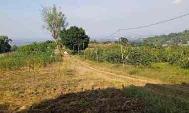 lahan kuning kota batu malang