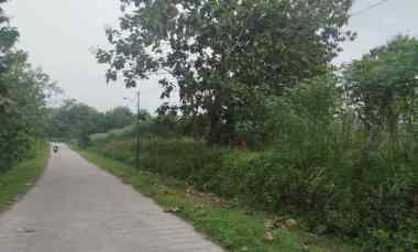 Lahan Pertanian 40Ha DiBoyolali 200rb/m2