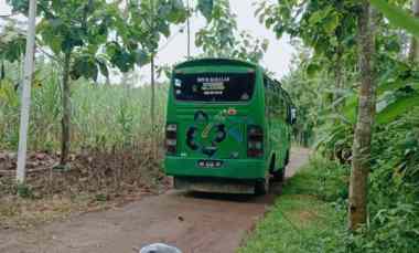 Lahan Peternakan 2 S.d 4 Hektar Karanganyar 250rb/m2