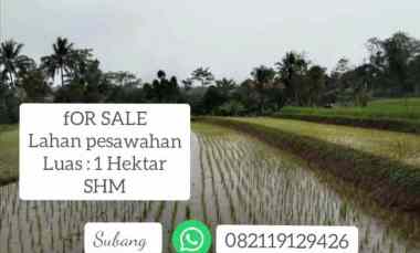 Tanah Dijual di Subang