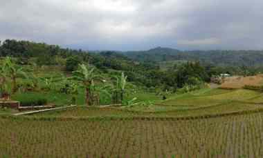 Tanah Dijual di Subang