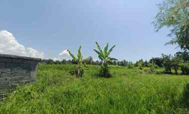 land for leasehold in tebongkang ubud near pepito