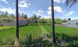 land for leasehold in tirta tawar ubud