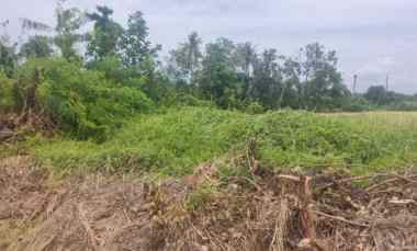 Leasehold Cemagi Badung Bali