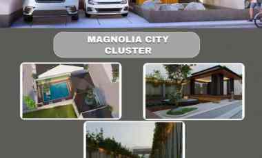 Magnolia City Cluster Modren