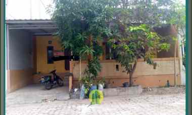 rumah cluster di serang banten