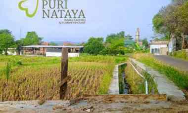 Rumah Halal tanpa Riba, Cicilan Langsung ke Developer