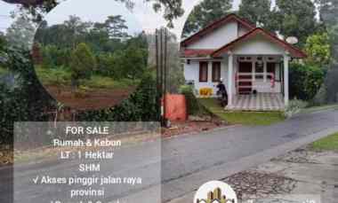 Rumah Kebun Produktif, Ada Durian, Subang Jawa Barat