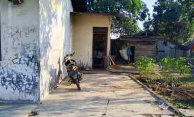rumah minimalis dijual murah