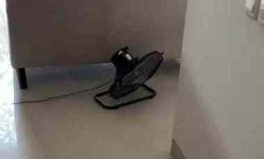 Rumah Modern Minimalis Greenlake Citraland