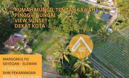 Rumah Mungil Tengah Sawah dekat Kota Sleman