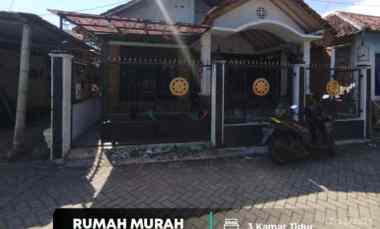 Rumah Murah 150 meter ke Ringroad Timur Kotagede, Jogja