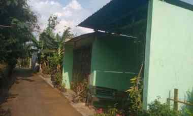 Rumah Murah Mungil Elegan