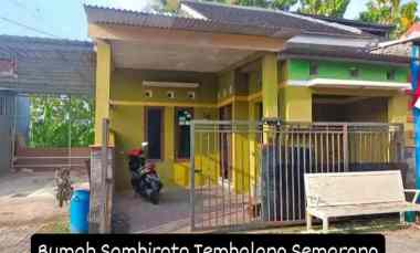 Rumah Sambiroto Tembalang Semarang