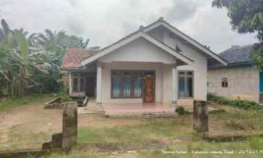 rumah siap huni luas tanah 1540m shm