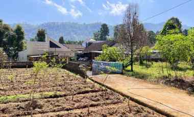 Rumah View Perbukitan Kebun Teh Kemuning Ngargoyoso