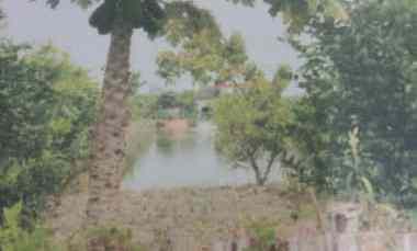 Sawah Ada Kolam Pinggir Jalan Utama