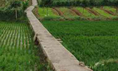 Sawah Aktif di Tolengas Kab Sumedang Dijual Murah Luas