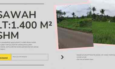 Sawah Produktif, Akses Arah Wisata Air Panas, Subang