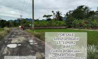 Tanah Dijual di subang