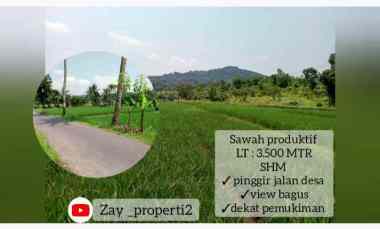 Sawah Produktif, Daerah Cijambe Subang Jawa Barat