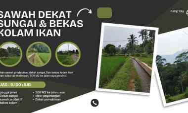 Sawah Produktif, dekat Sungai, View Bagus, Subang