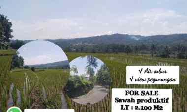 Sawah Produktif, View Bagus, Subang Jawa Barat