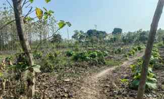 Sebidang Tanah Nol Propinsi Tuban - Babat