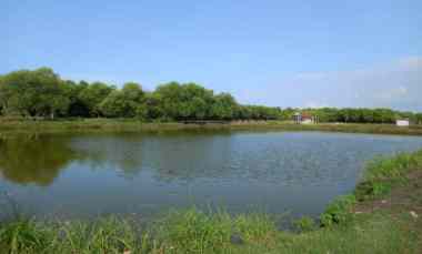 Tanah Dijual di Kejaksan kota cirebon