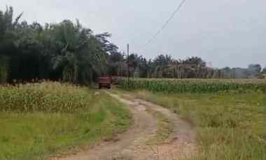 Tanah 1 Hektar di Sabah Balau, Lampung Selatan