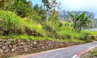 tanah 1000m kawasan hutan pinus kemuning karanganyar