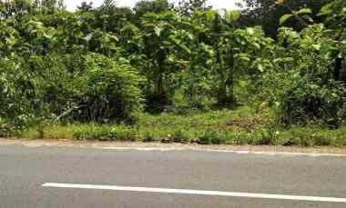 Tanah Dijual di Tasikmadu, Karanganyar