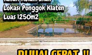 Tanah Dijual Ponggok Klaten 1250m2 Muka 12m untuk Hunian Kolam 480 jt