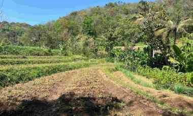 tanah 1327m dekat aliran sungai pegunungan ngargoyoso