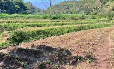 Tanah 1327m dekat Sungai Kawasan Wisata Ngargoyoso