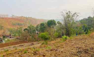 Tanah 140 juta Sambirejo, Sragen