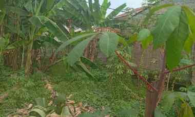 Tanah Dijual di Kalimulya, Depok City, West Java, Indonesia