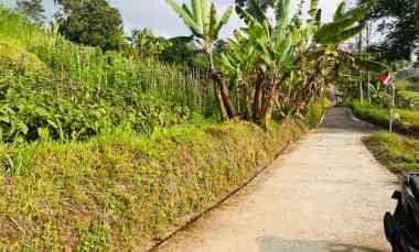 Tanah Dijual di Ngargoyoso, Karanganyar