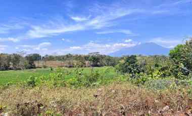 tanah 250 juta view sawah dan gunung lawu karanganyar