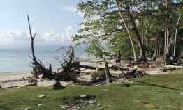 Tanah 2 Bidang dekat Pantai Walur, Lampung Krui