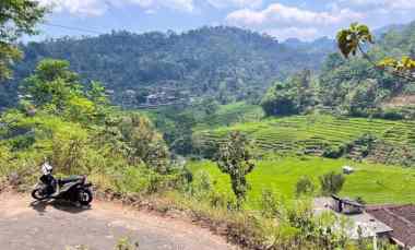 tanah 3500m view hamparan sawah ngargoyoso