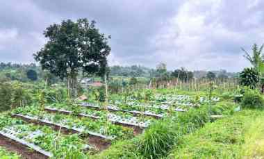 tanah 3800m kawasan wisata kemuning solo raya