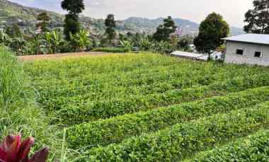 Tanah Lingkungan Wisata 700m Istimewa Karangpandan