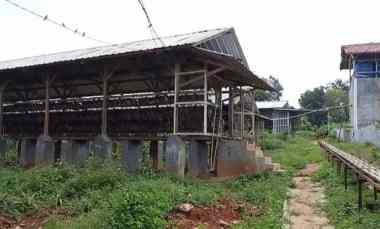 Tanah Dijual di Subang