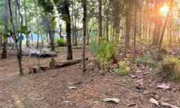 Tanah Dijual Cocok untuk Rumah Tinggal Bendungan Kedawung Sragen