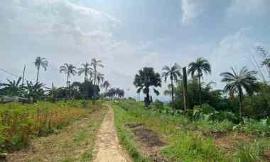 Tanah Best View di Kawasan Tajur Halang Cijeruk Bogor